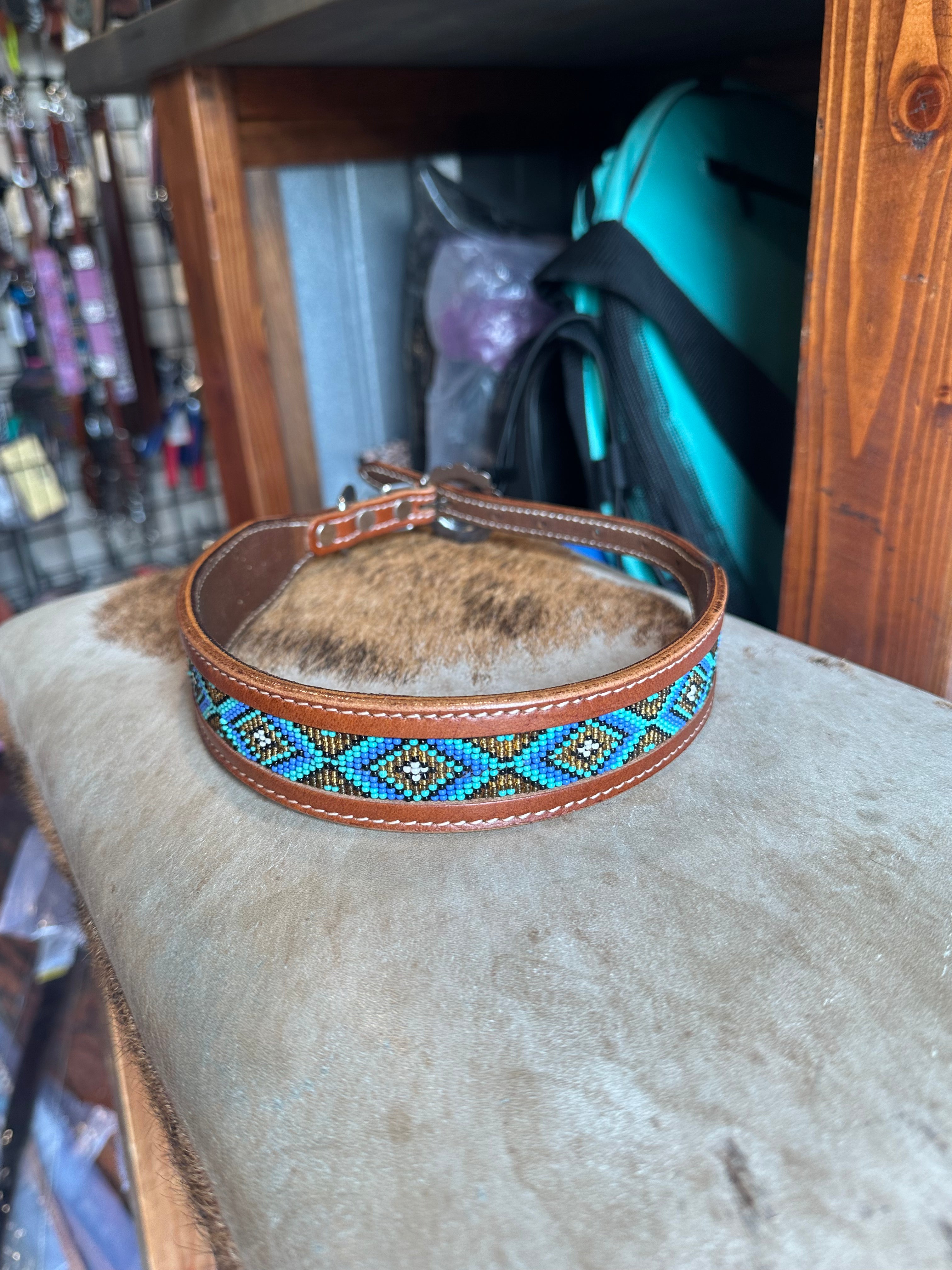 Designer dog collars large
