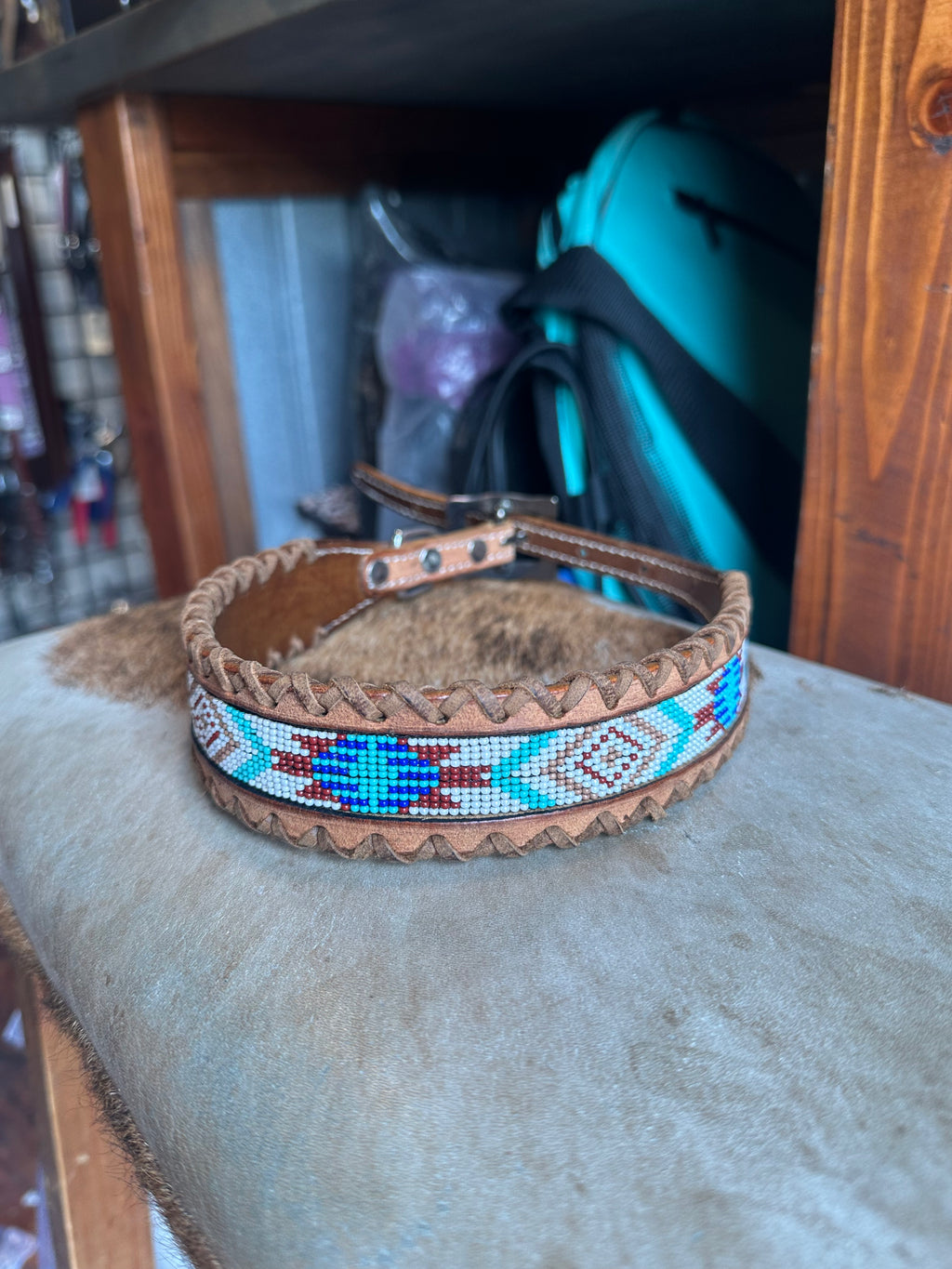Designer dog collars large