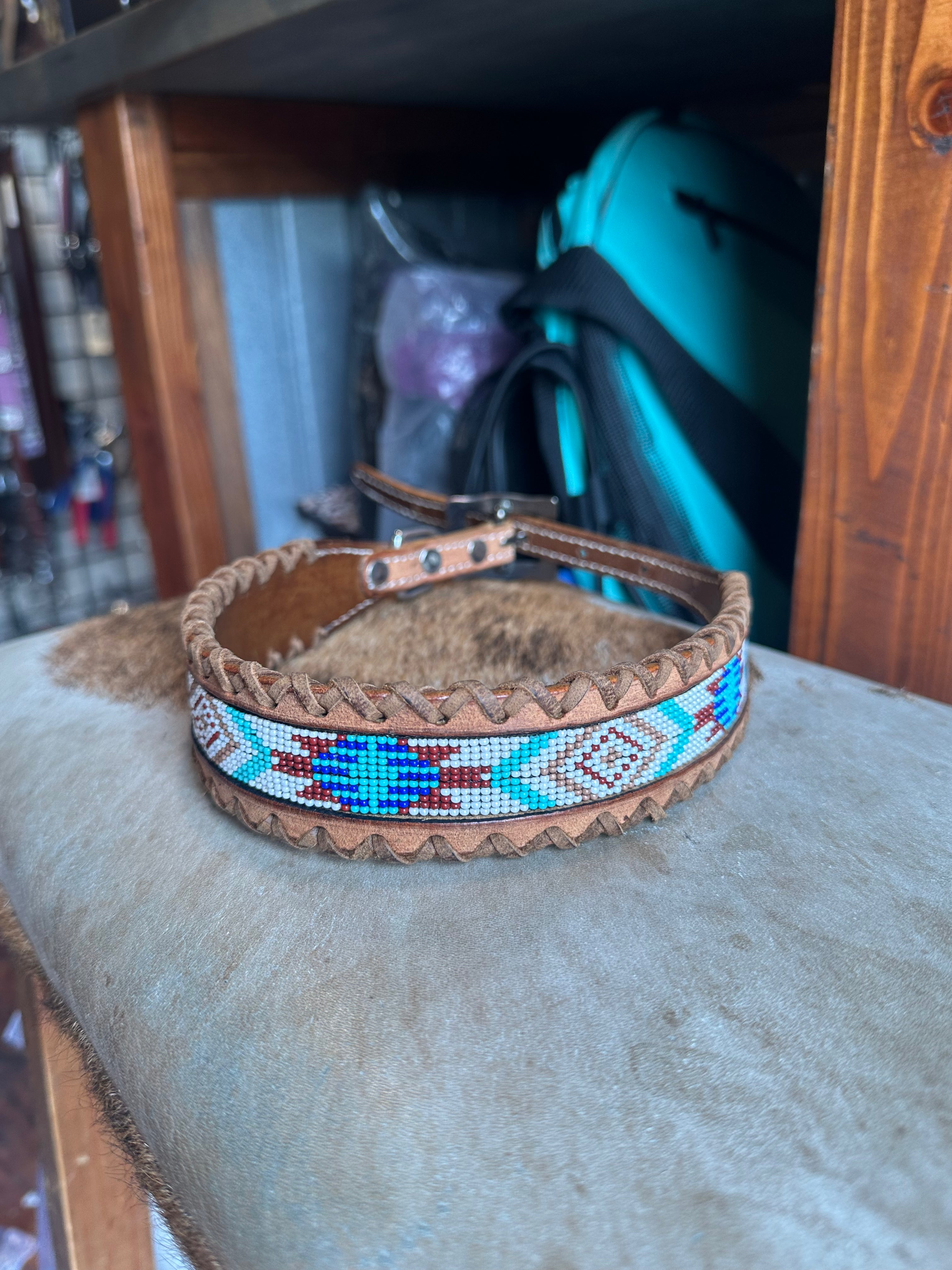Designer dog collars large