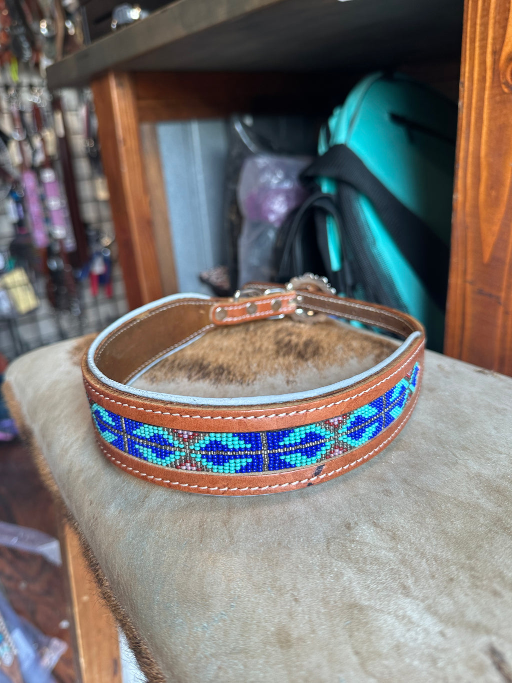 Designer dog collars large
