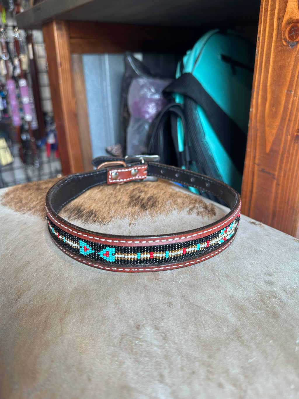 Designer dog collars large
