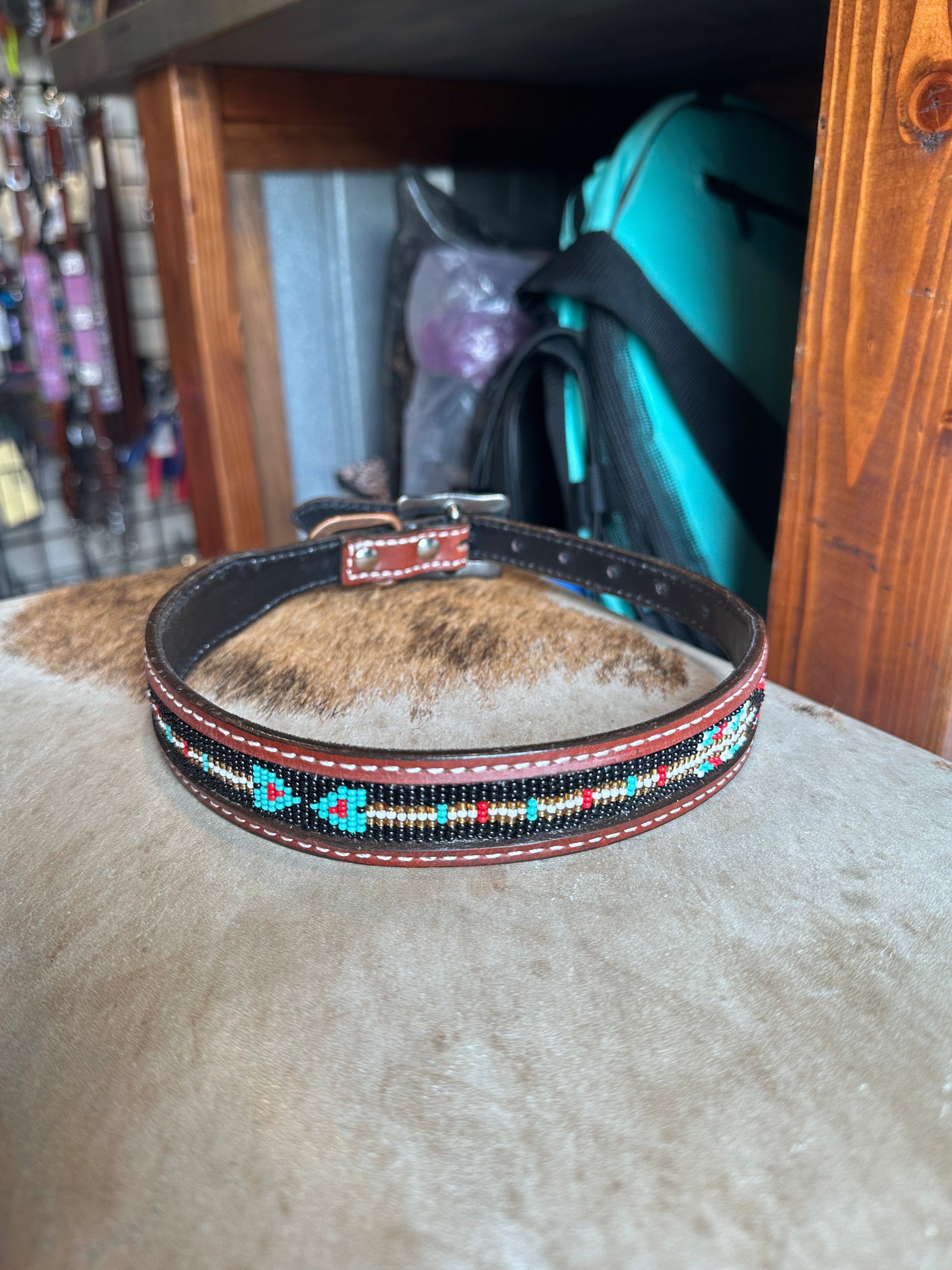 Designer dog collars large