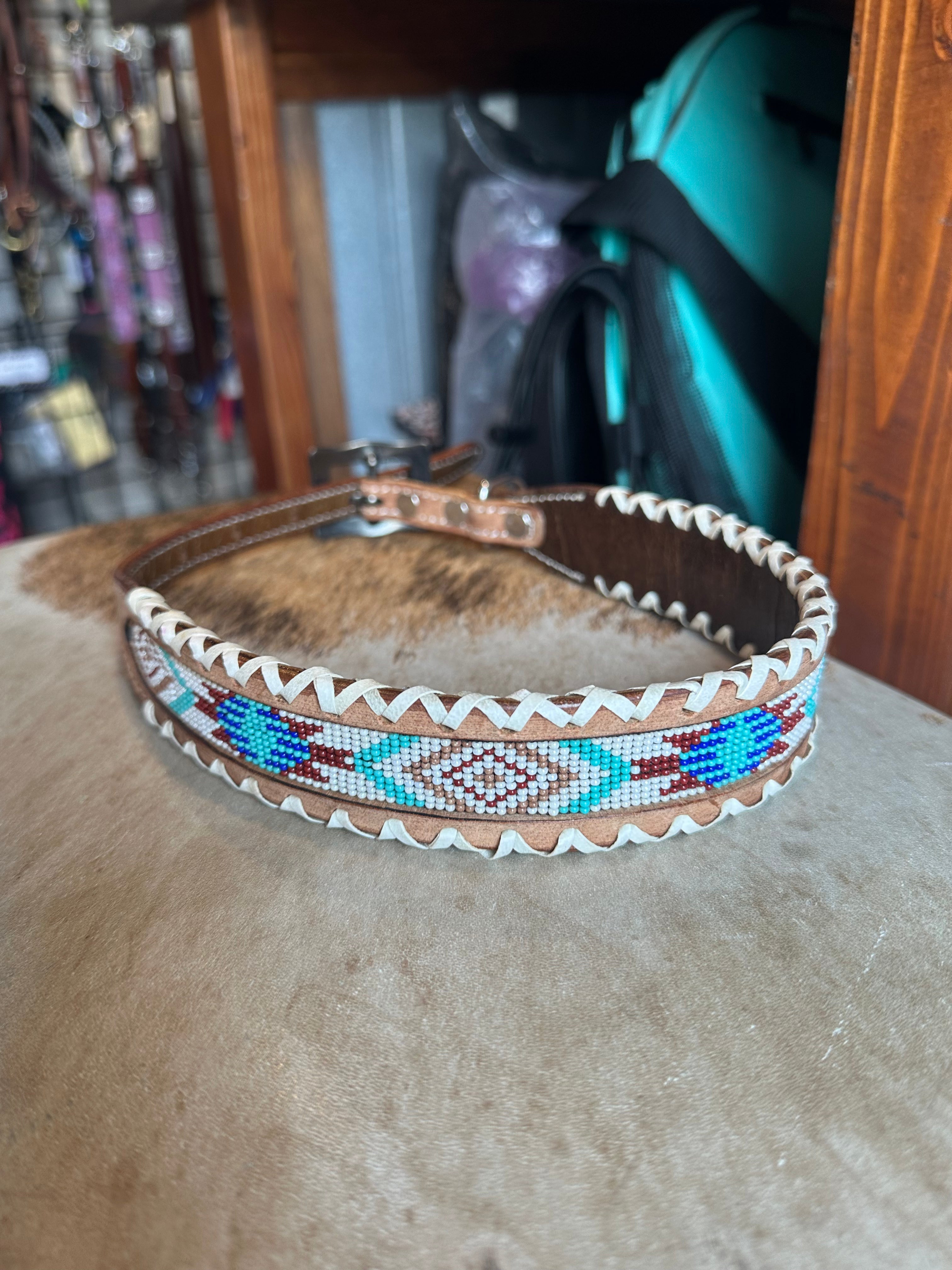 Designer dog collars large