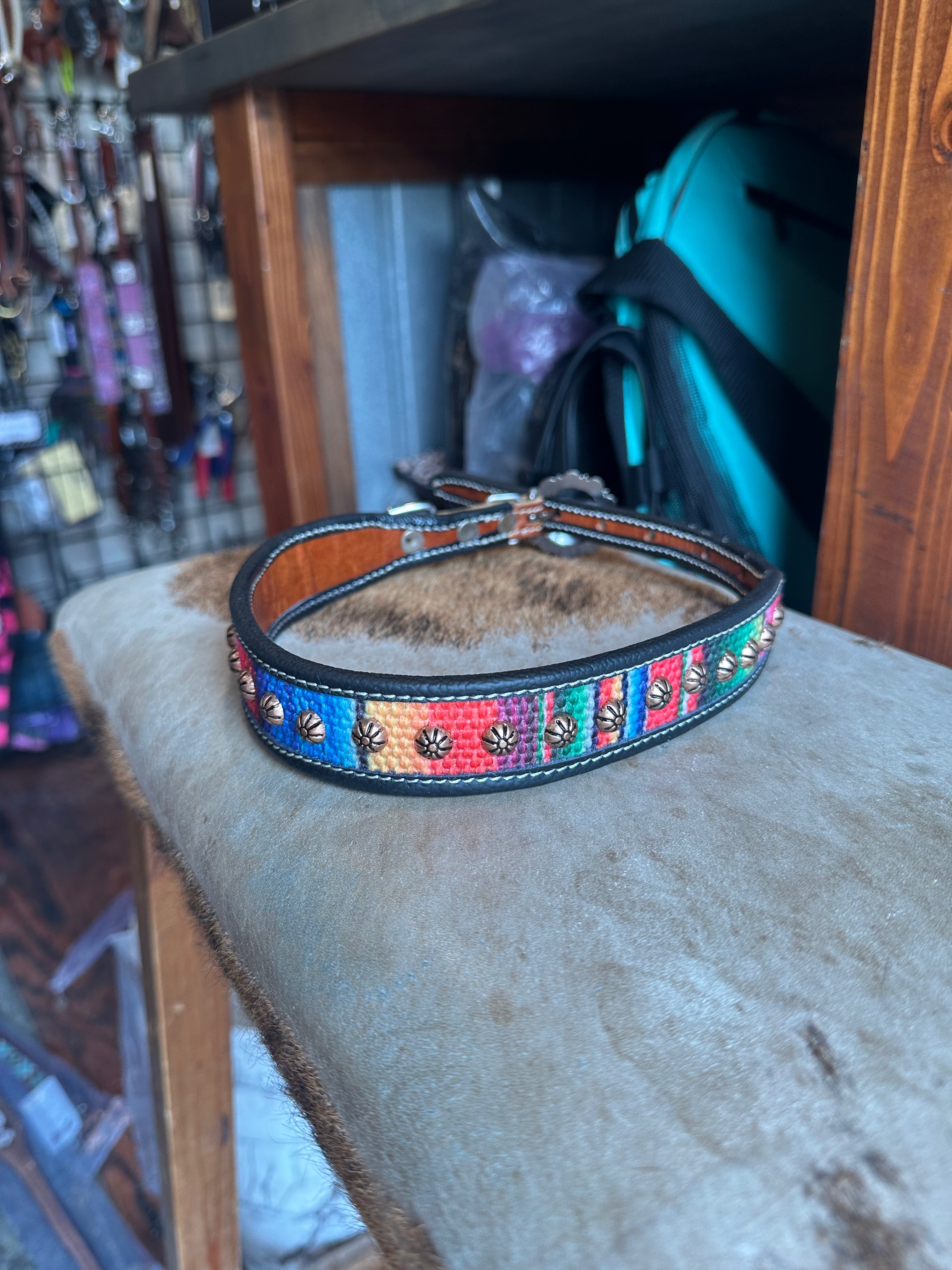 Designer dog collars large