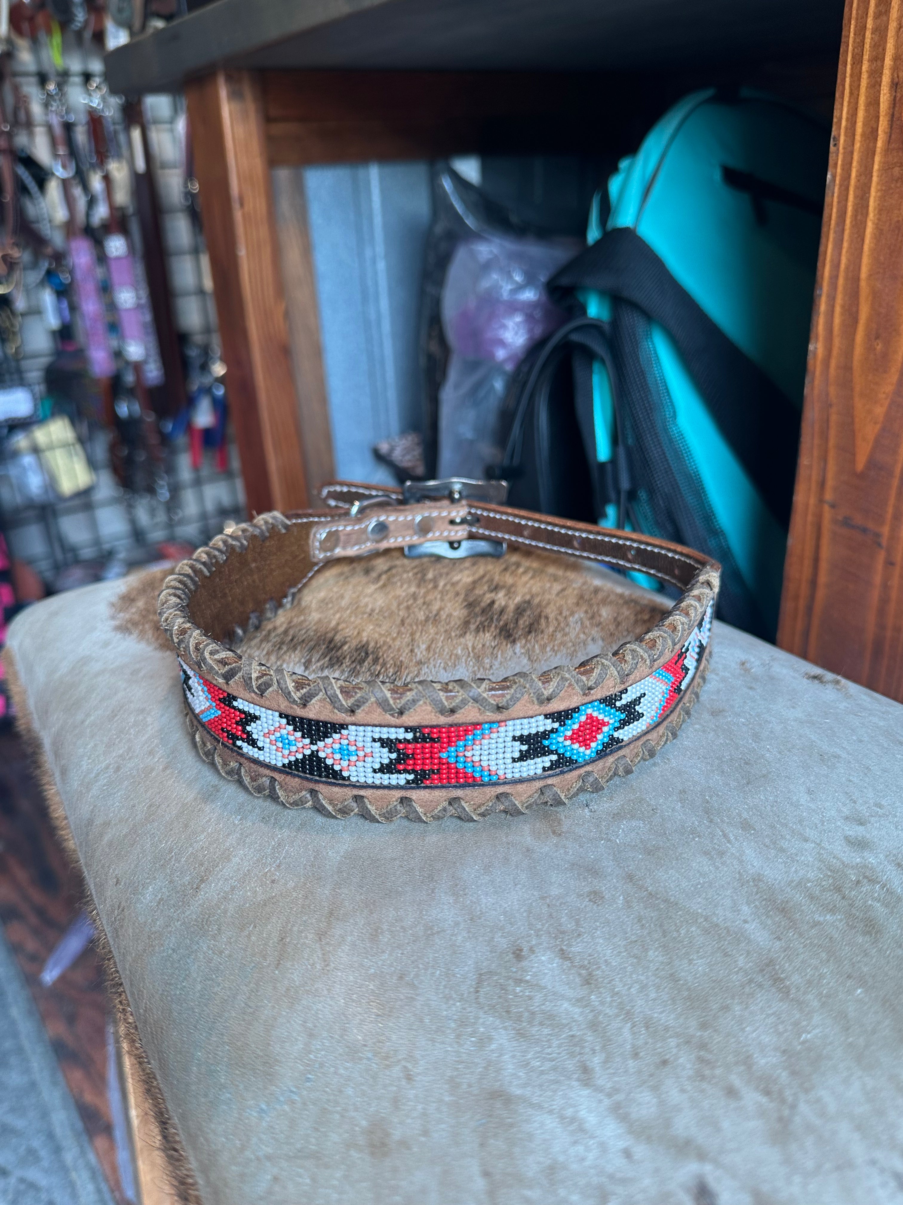 Designer dog collars large