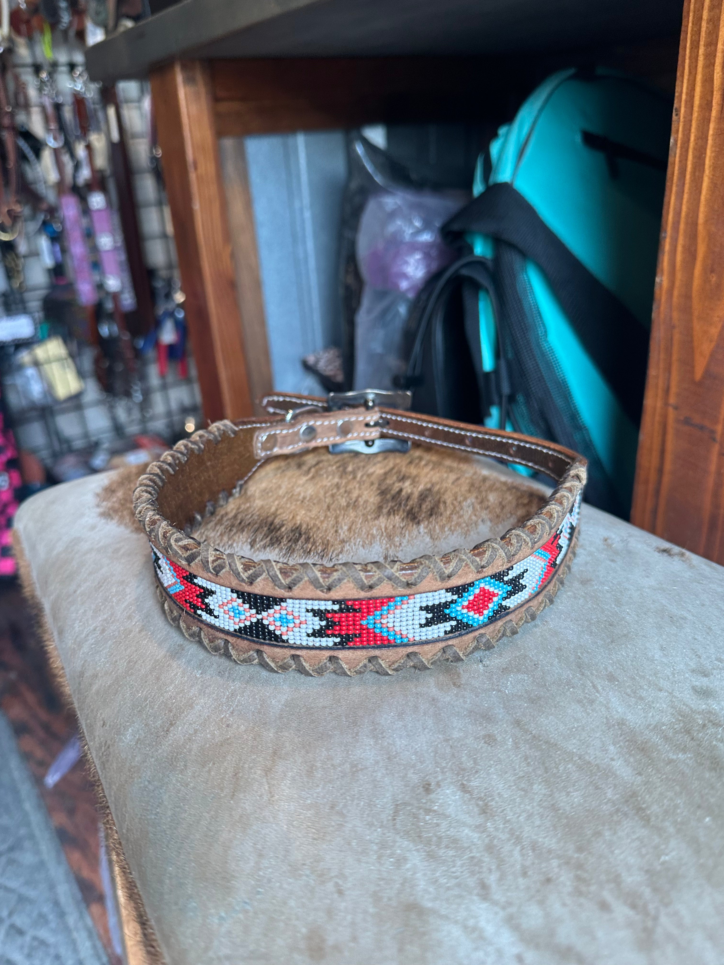 Designer dog collars large