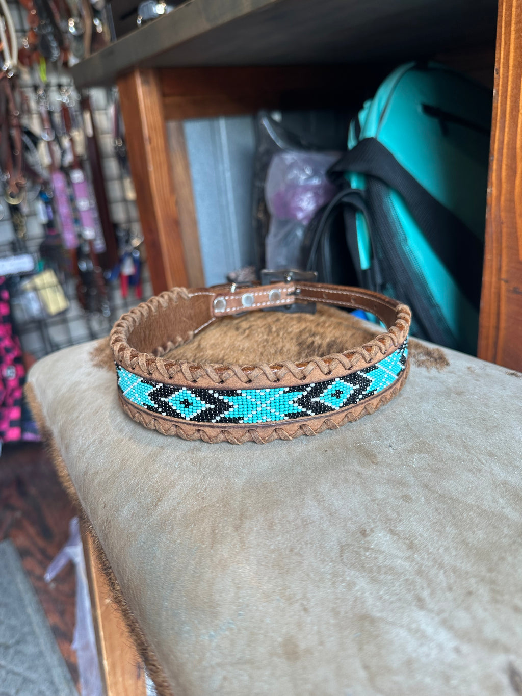 Designer dog collars large