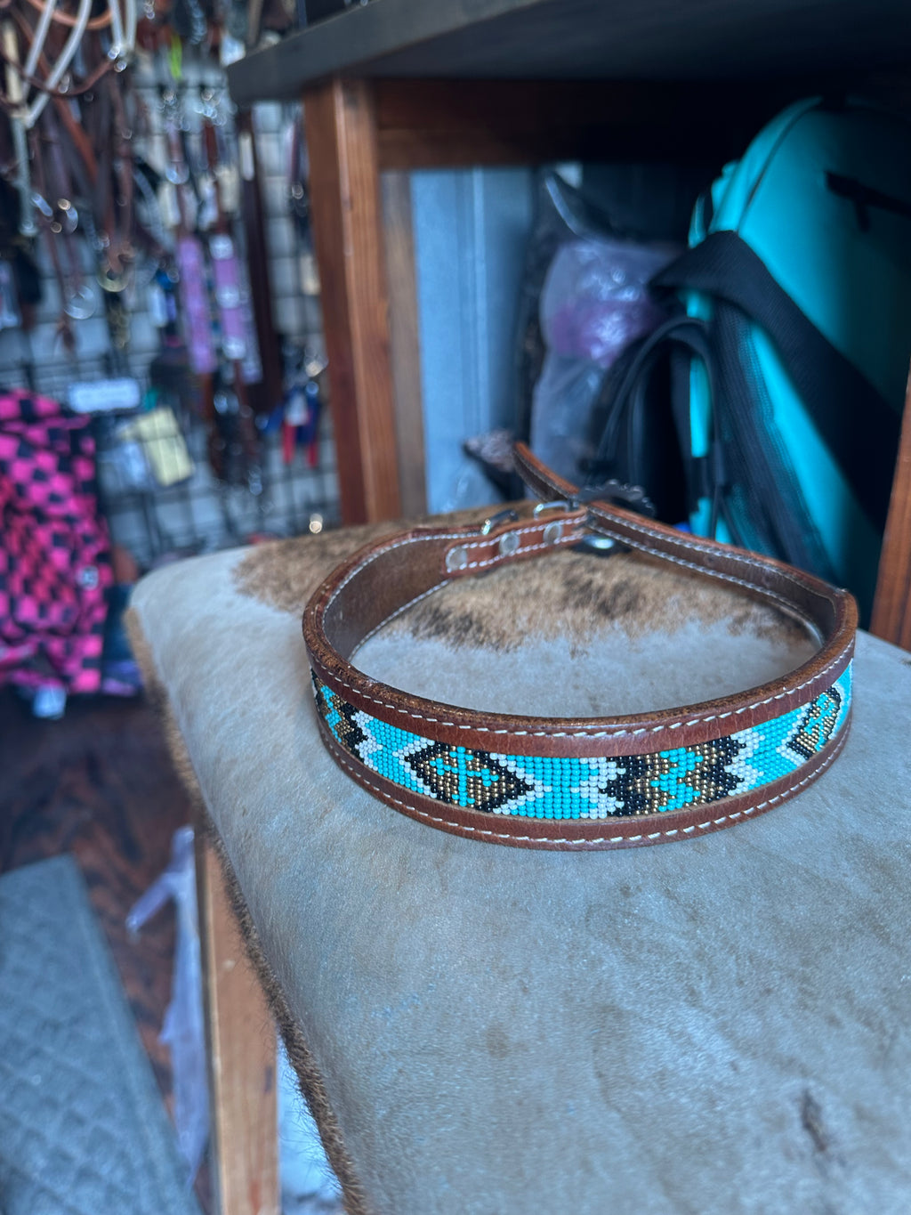 Designer dog collars large