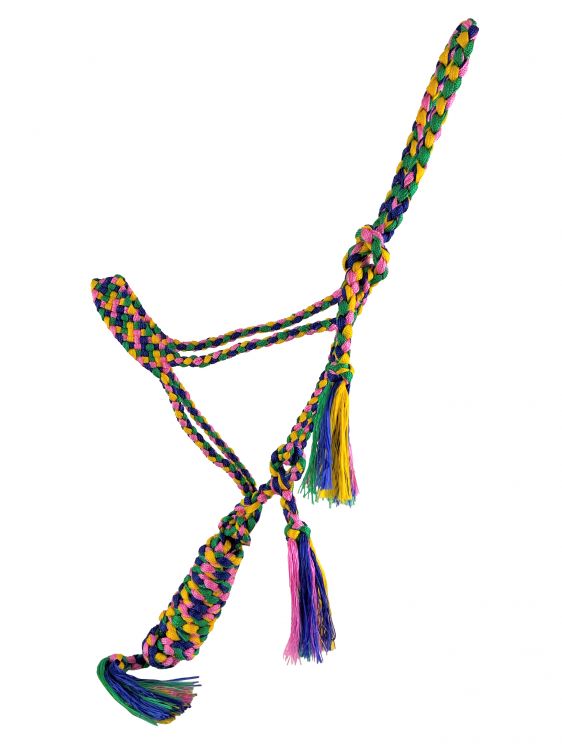 Mule tape halter with lead rope