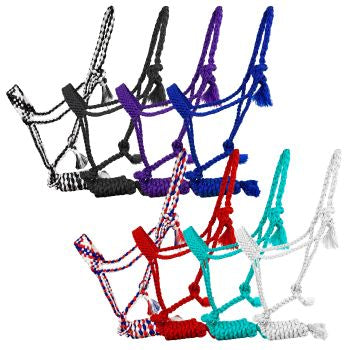 Mule tape halter with lead rope