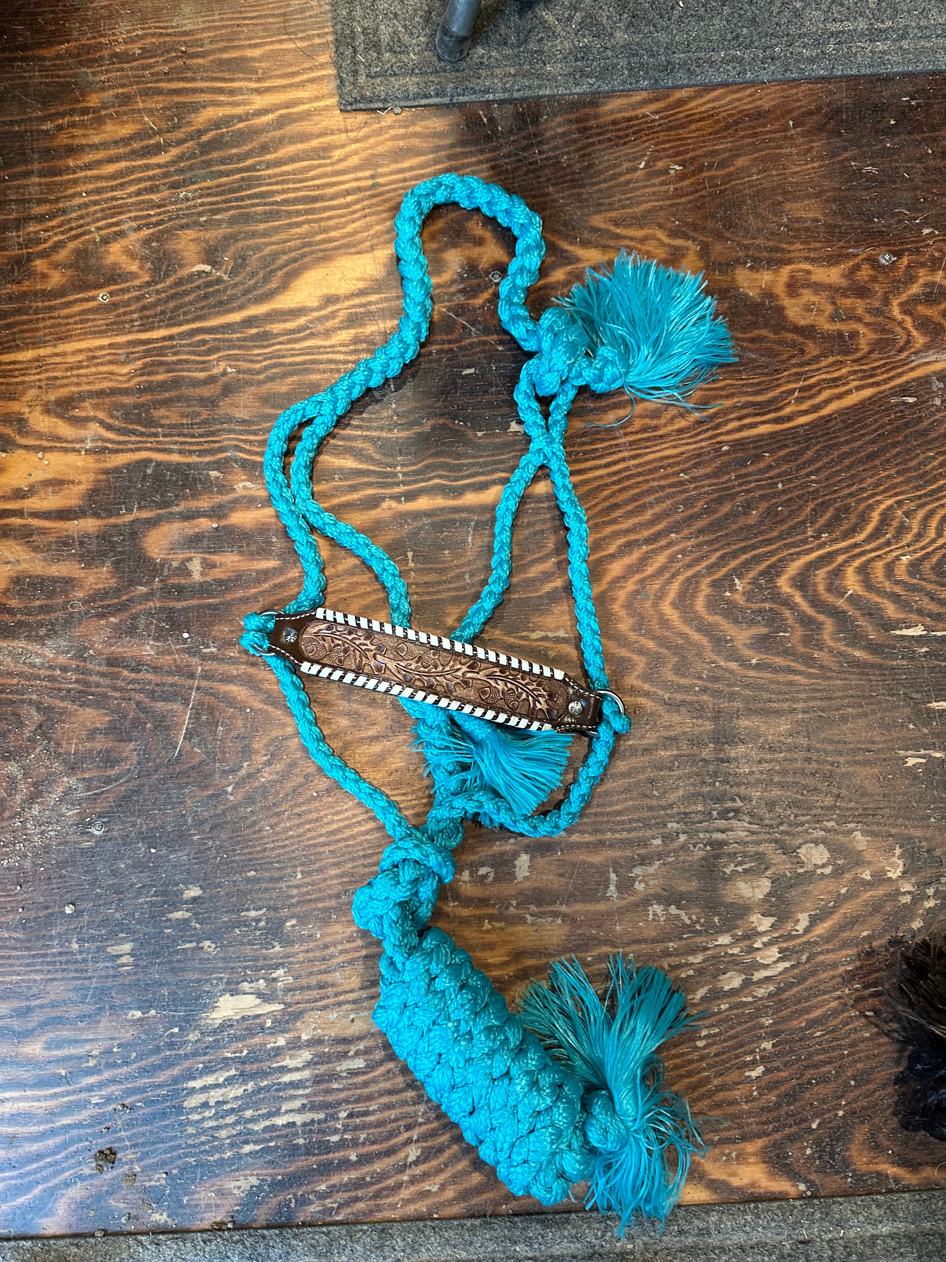 Designer mule tape halter with lead rope