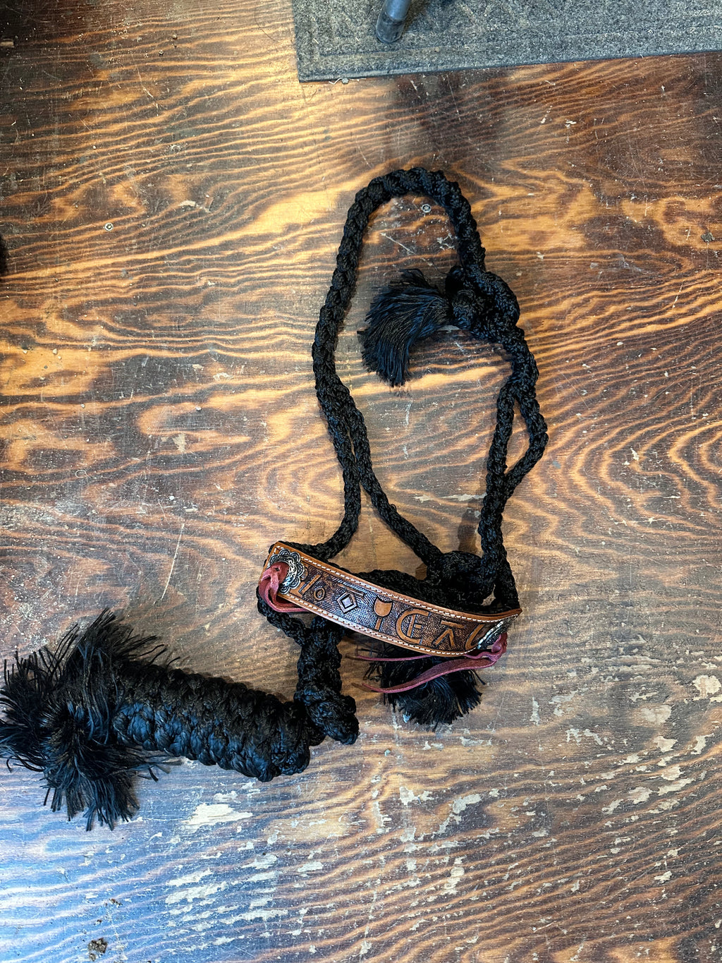 Designer mule tape halter with lead rope