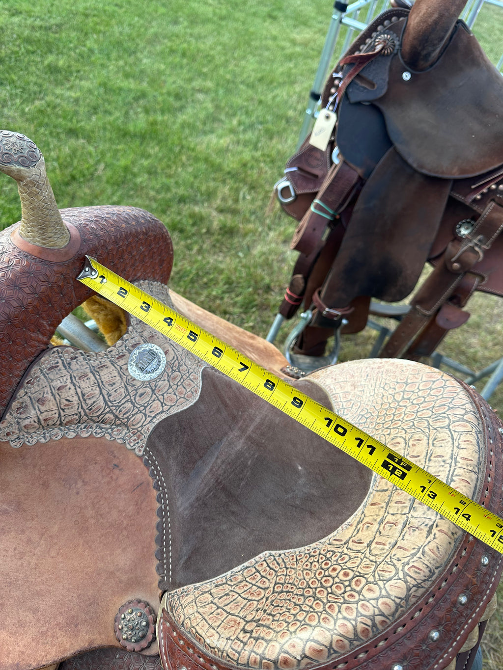 13.5” Alamo