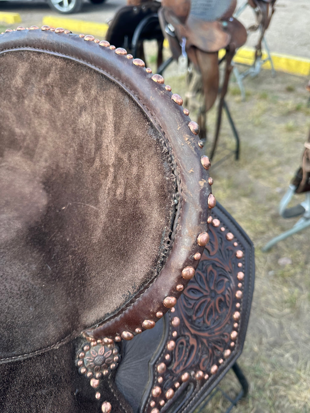 15” Josh Andrews with matching breast collar