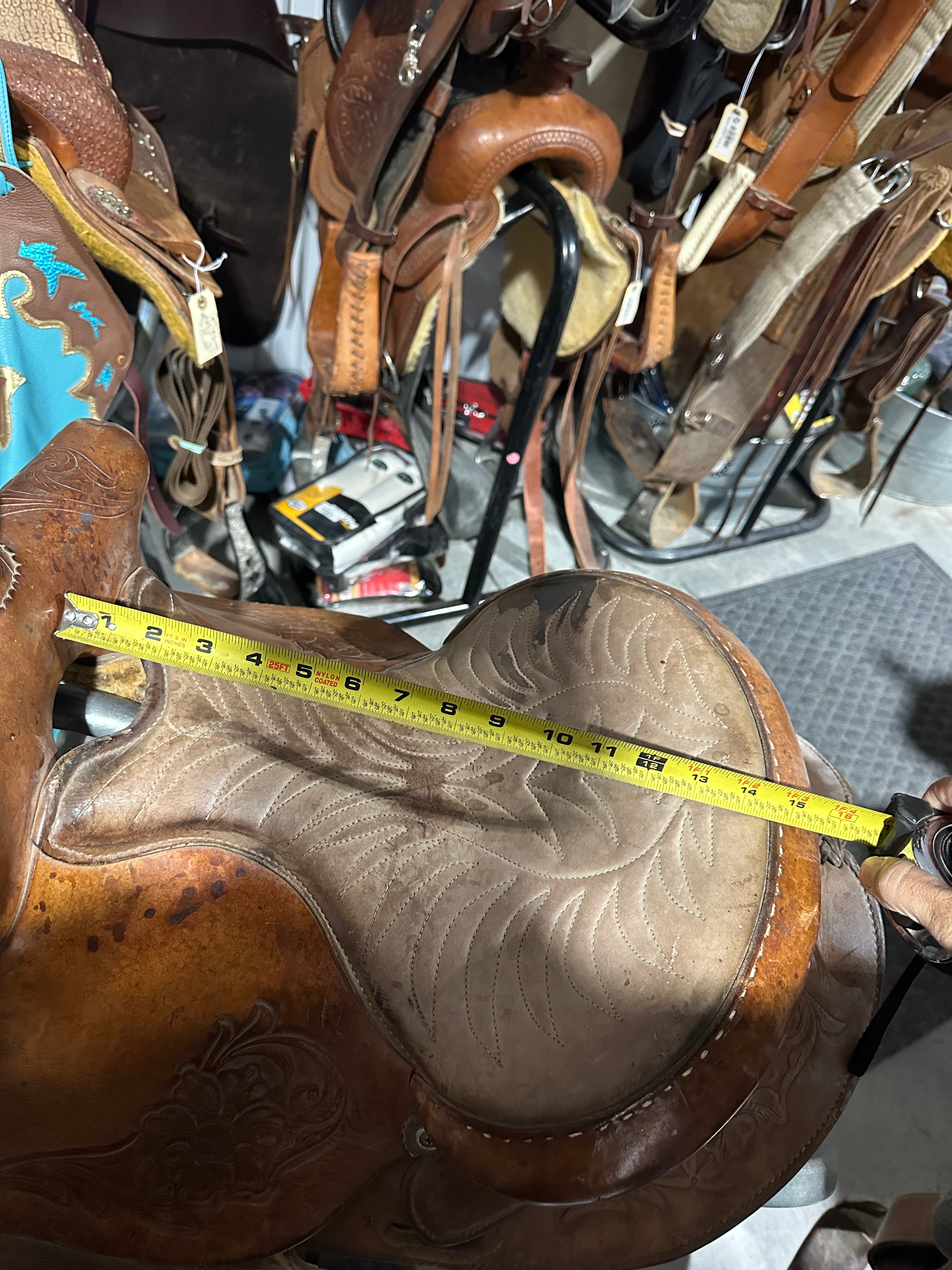 14.5” Hereford