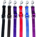 Professionals Choice nylon 1 inch tiedown strap
