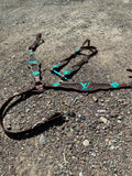 Custom unbridled rose LV headstall & breast collar set
