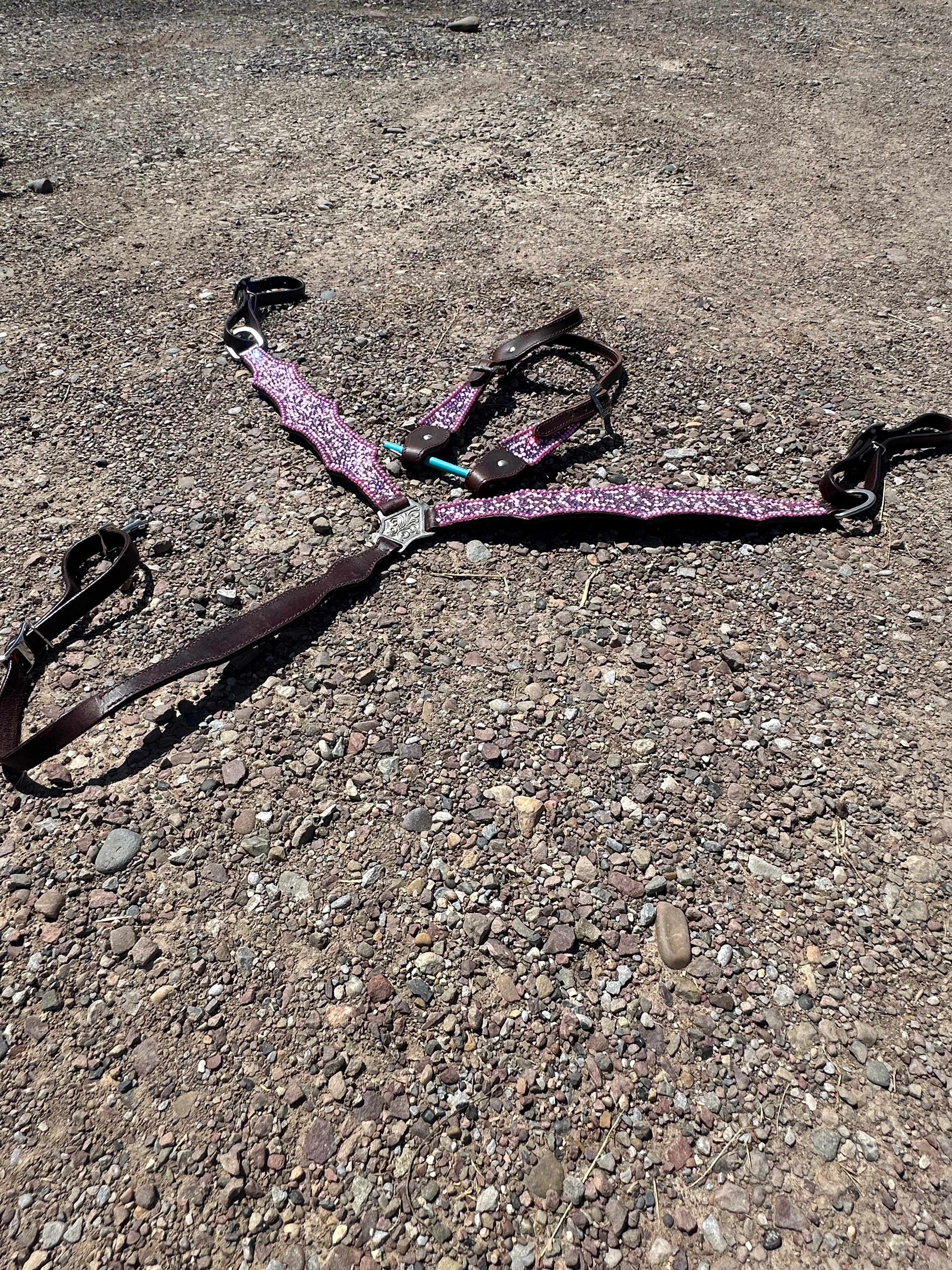 Custom bedazzled pink & purple headstall & breast collar