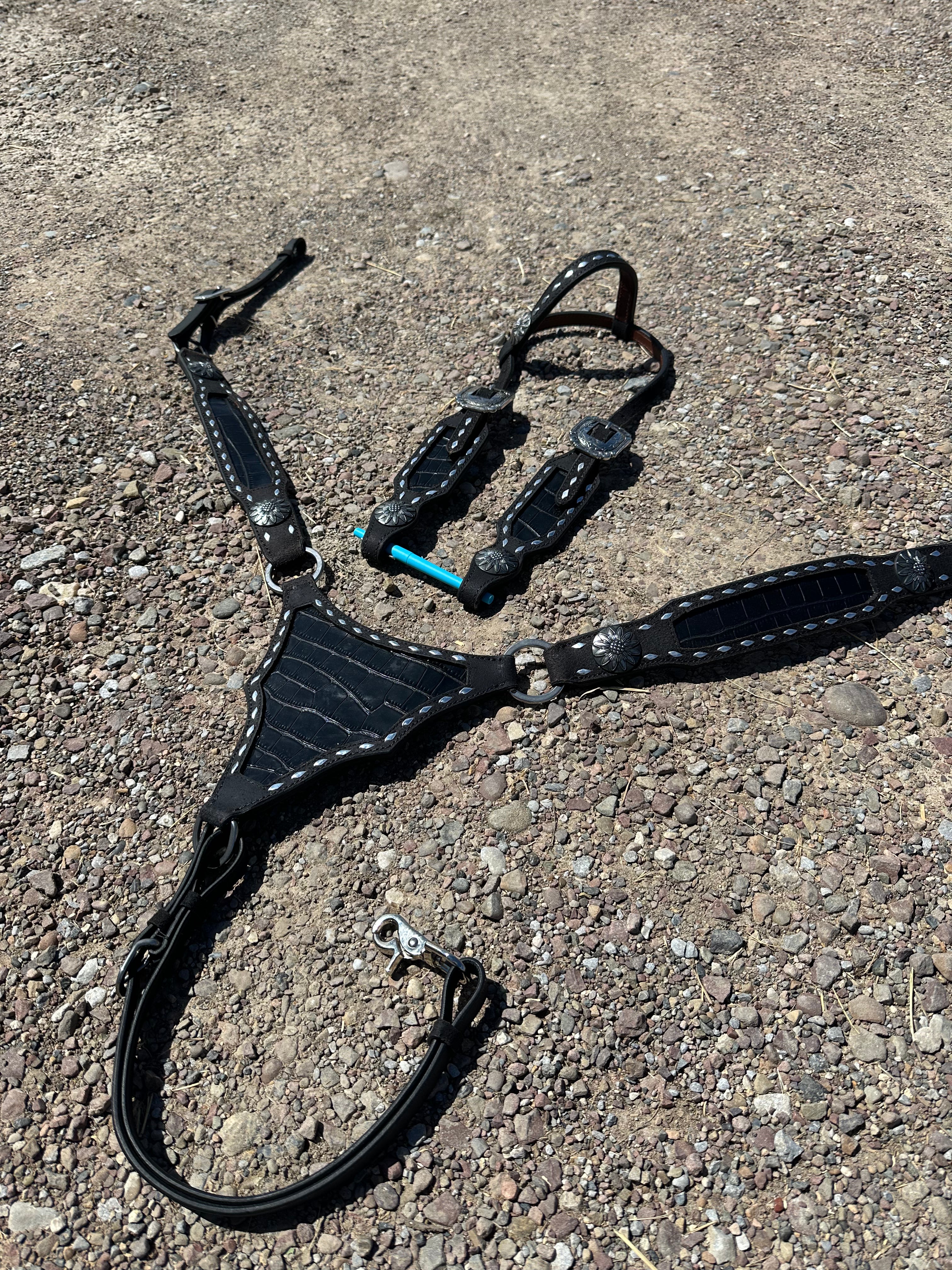Gladiator plate black with silver buckstitch headstall & breast collar set