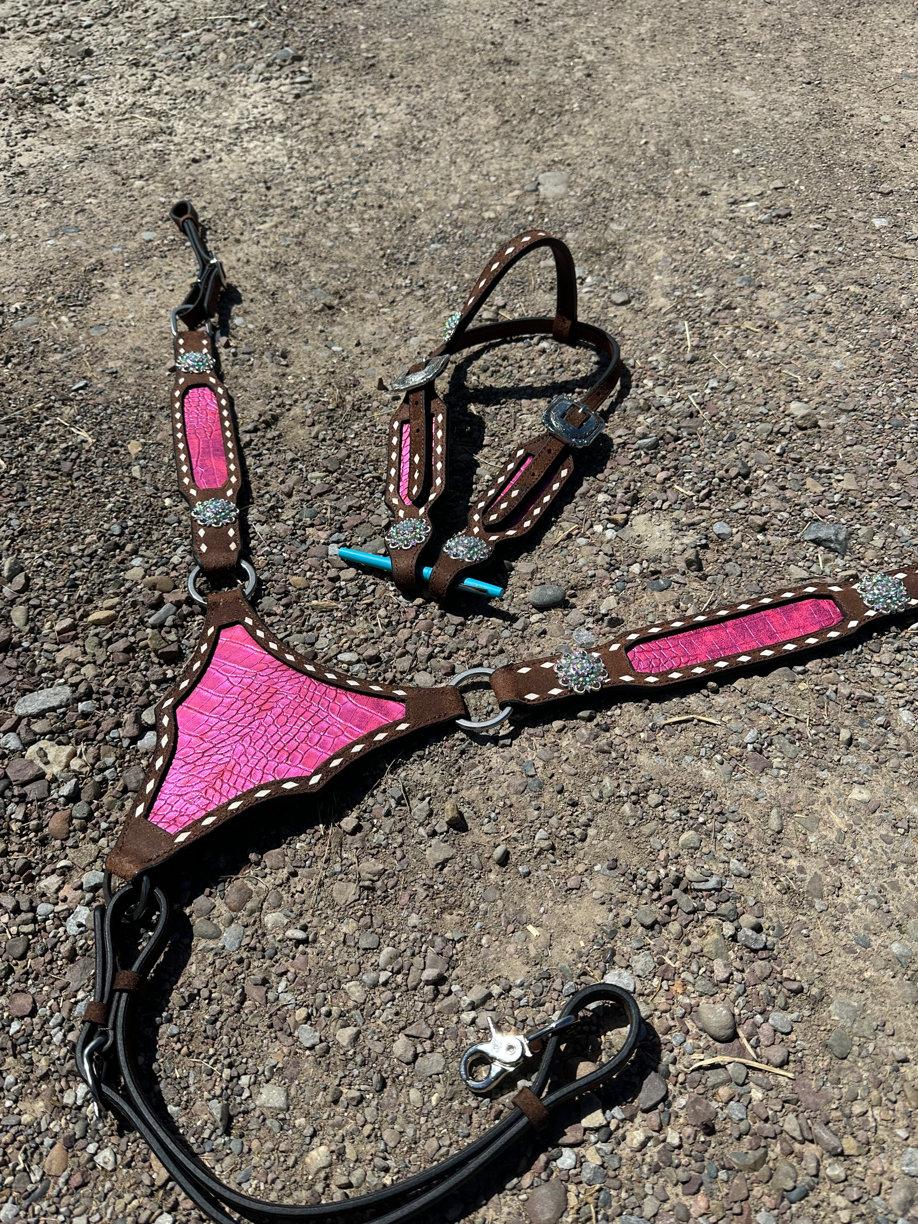 Pink gladiator plate headstall & breast collar set