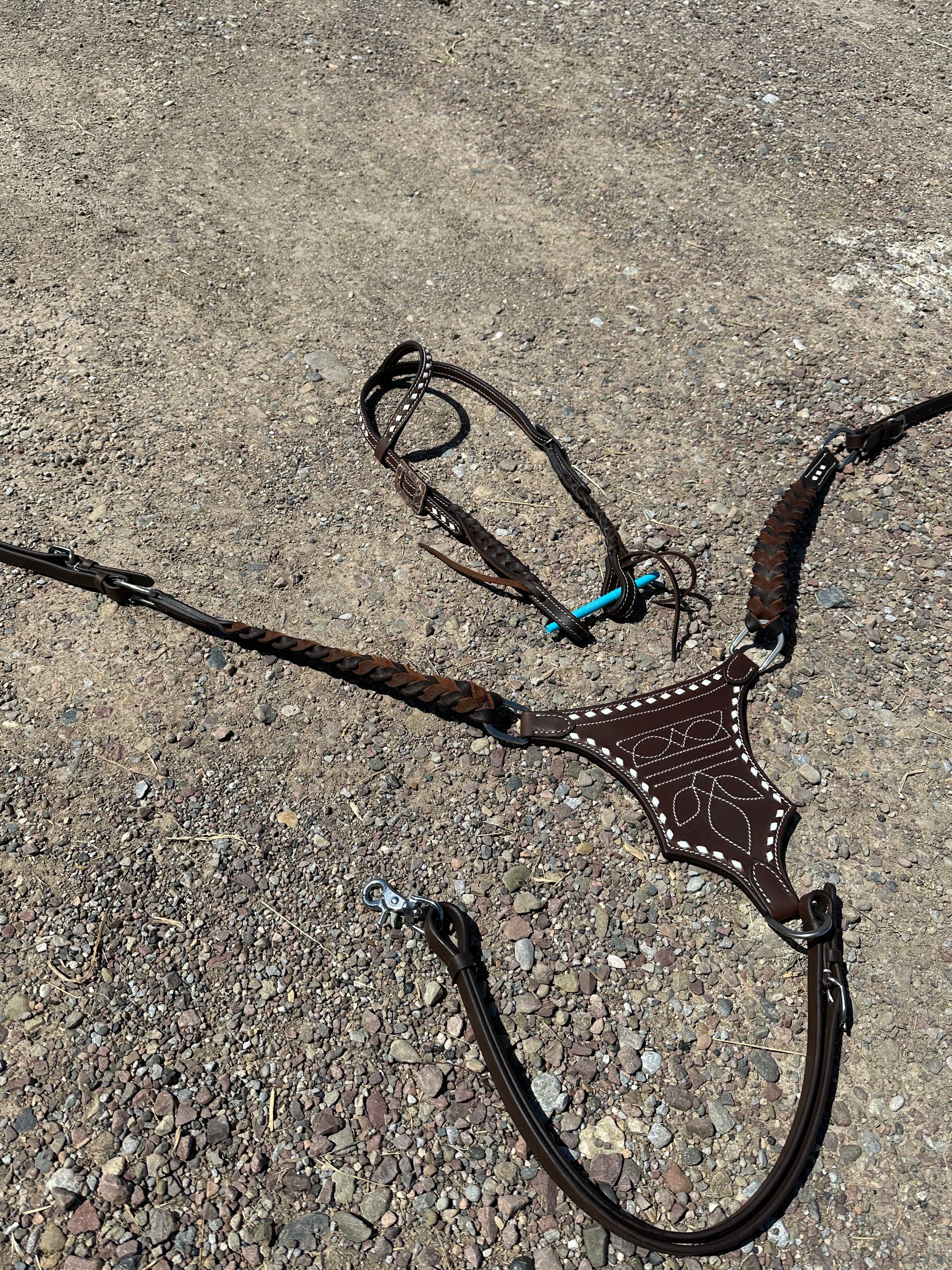 Gladiator plate white buck stitch with matching headstall