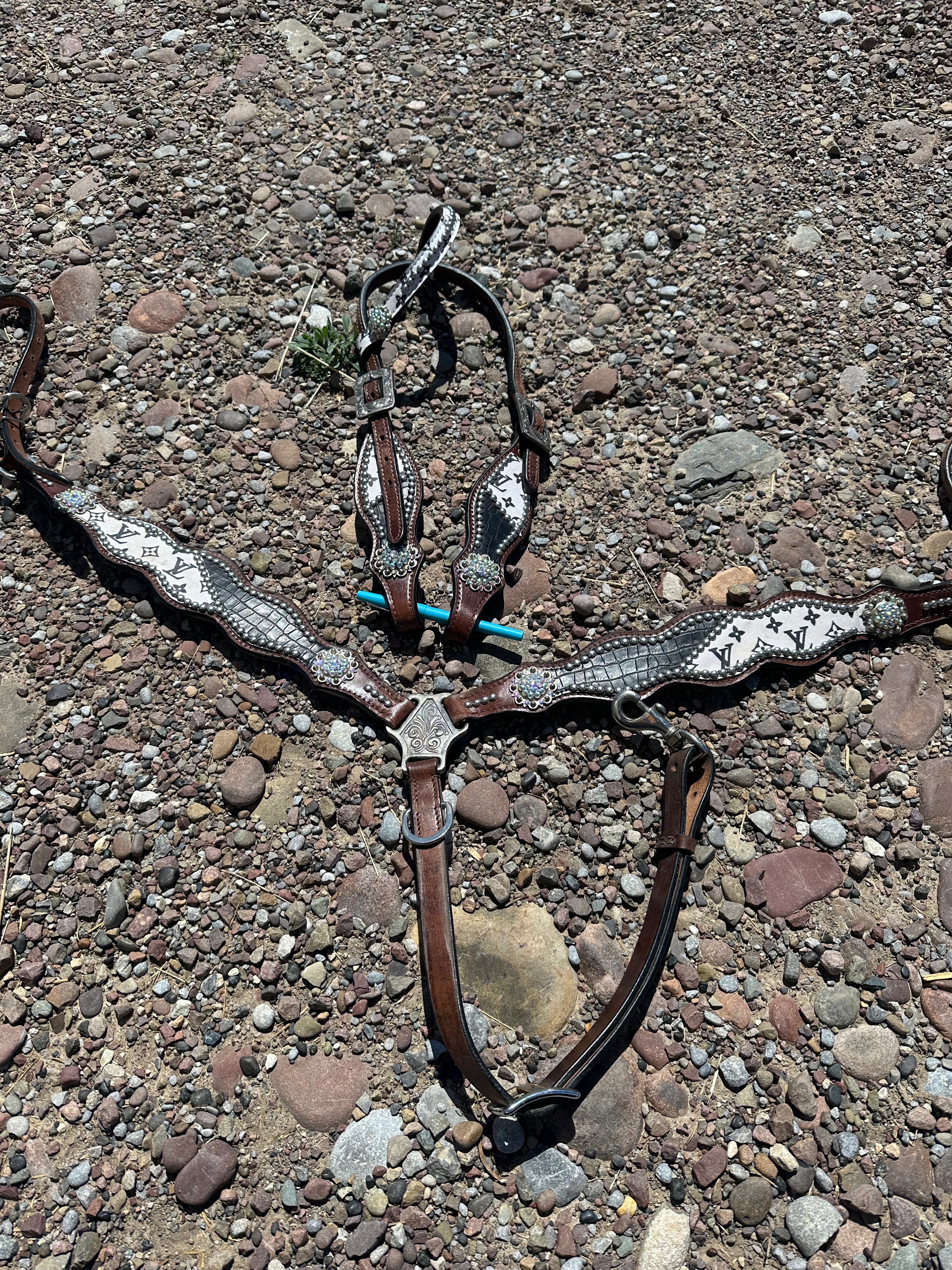 LV headstall & breast collar set used