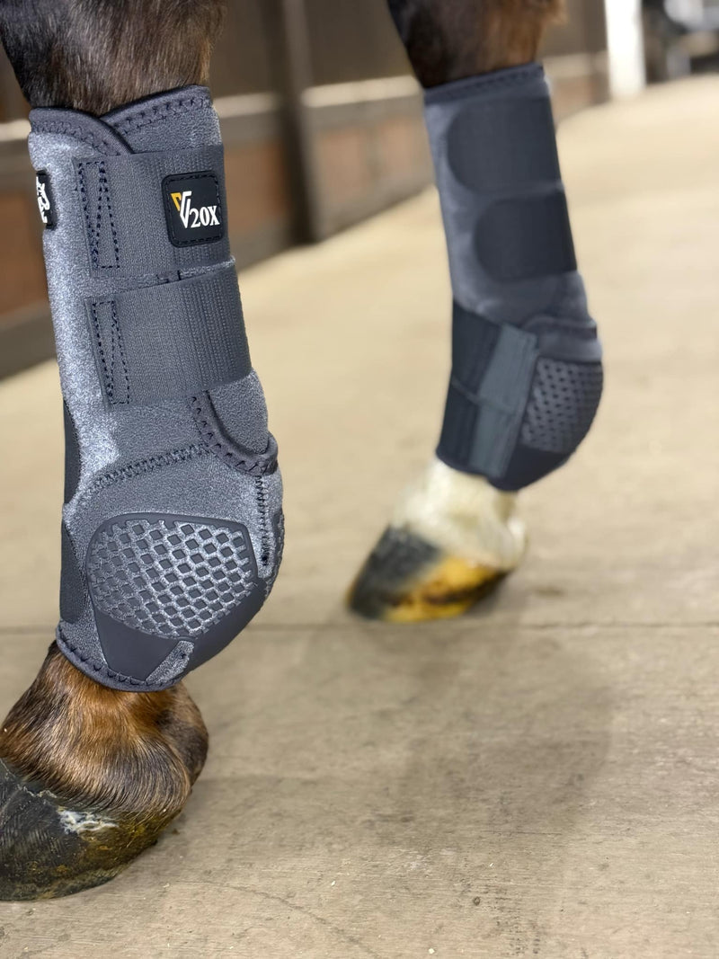 V20x Alliance Equine sport protective boots rear medium