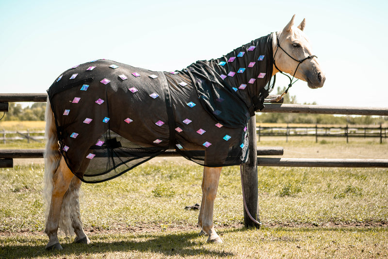 Alliance Equine magnitude magnetic therapy sheet with neck galaxy