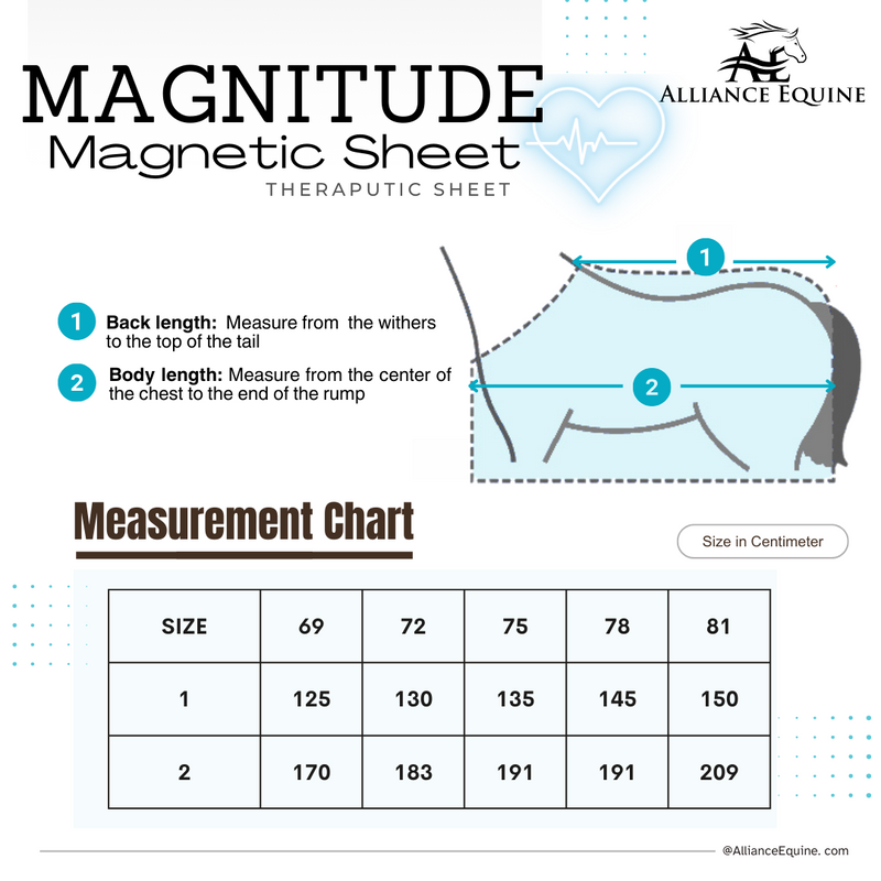 Alliance Equine magnitude magnetic therapy sheet with neck burgundy & raspberry