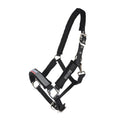 Hansbo sport infused ceramic infused magnetic halter