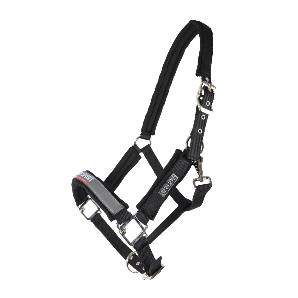 Hansbo sport infused ceramic infused magnetic halter