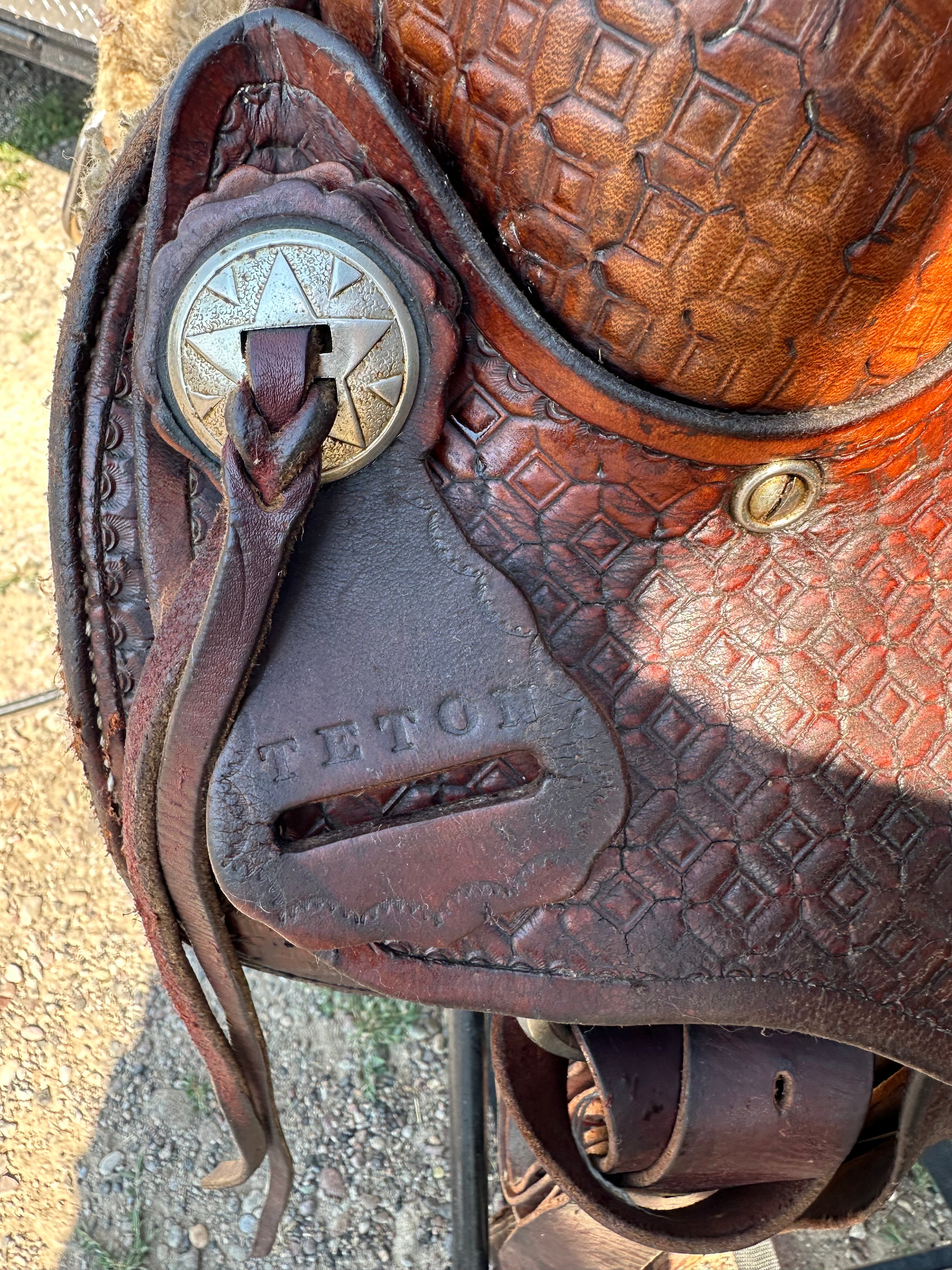 14.5” Teton roper