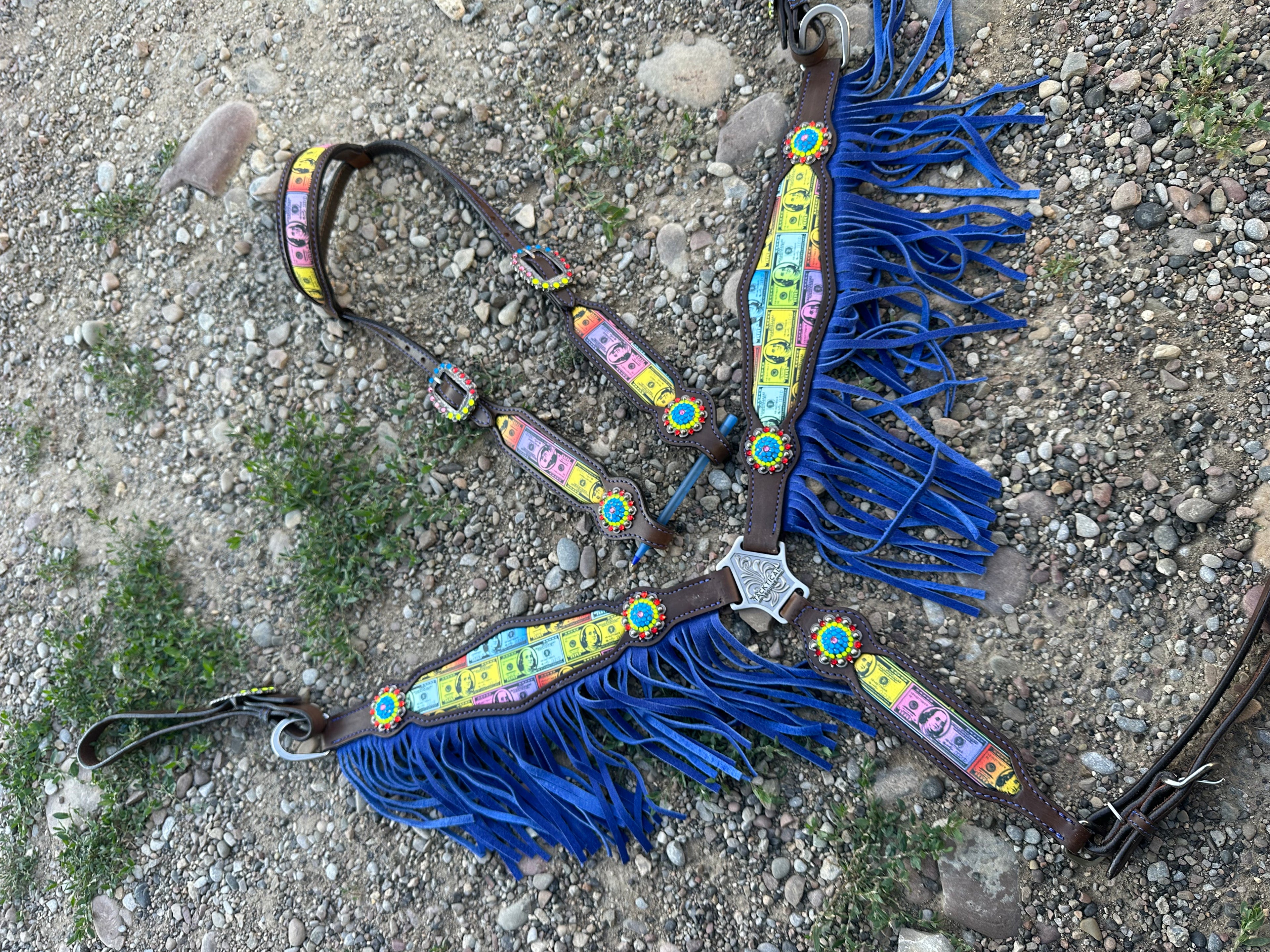 Tacktical benjis headstall & matching breast collar