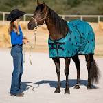 XLR8 Limited edition teal magnetic therapy blanket
