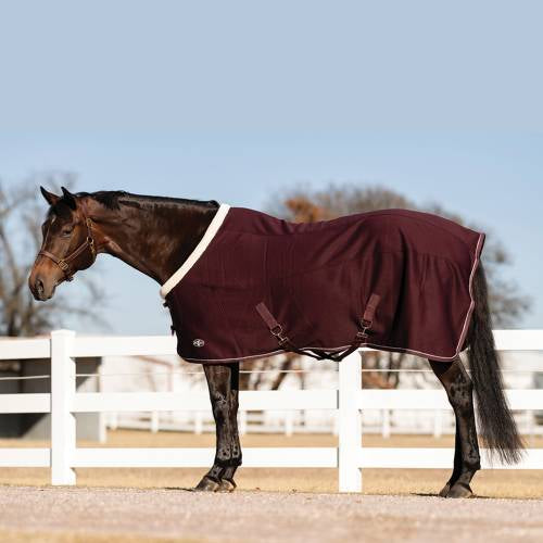 Professionals choice soft shell cooler