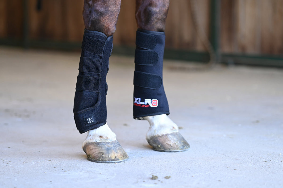 Xlr8 red line tendon boots (pair)
