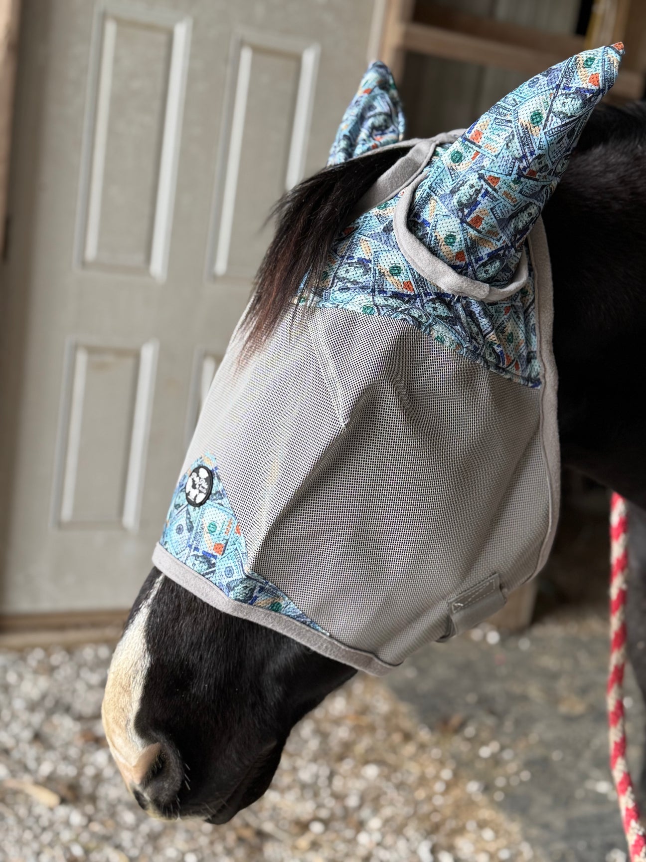 Fly mask horse size Pretty Polos by Jessie NO EARS
