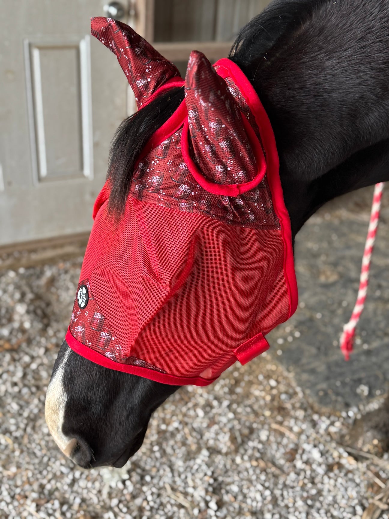 Fly mask horse size Pretty Polos by Jessie NO EARS