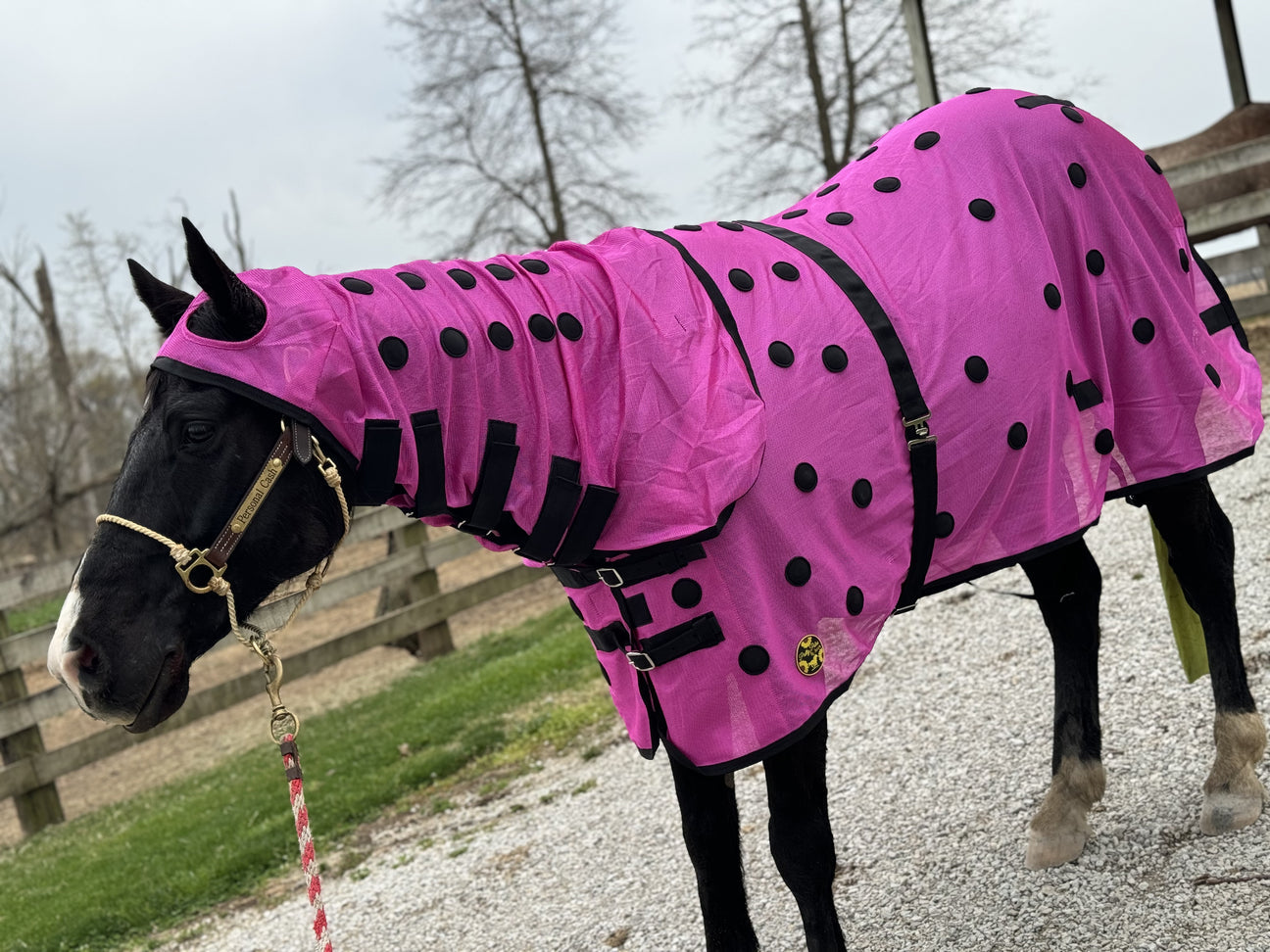 Pretty Polos by Jessie pink magnetic blanket with neck