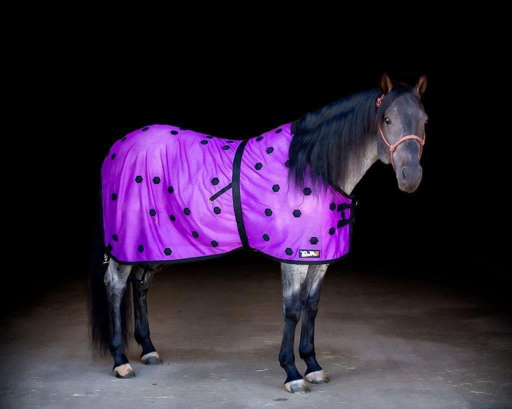 XLR8 limited edition purple therapy blanket