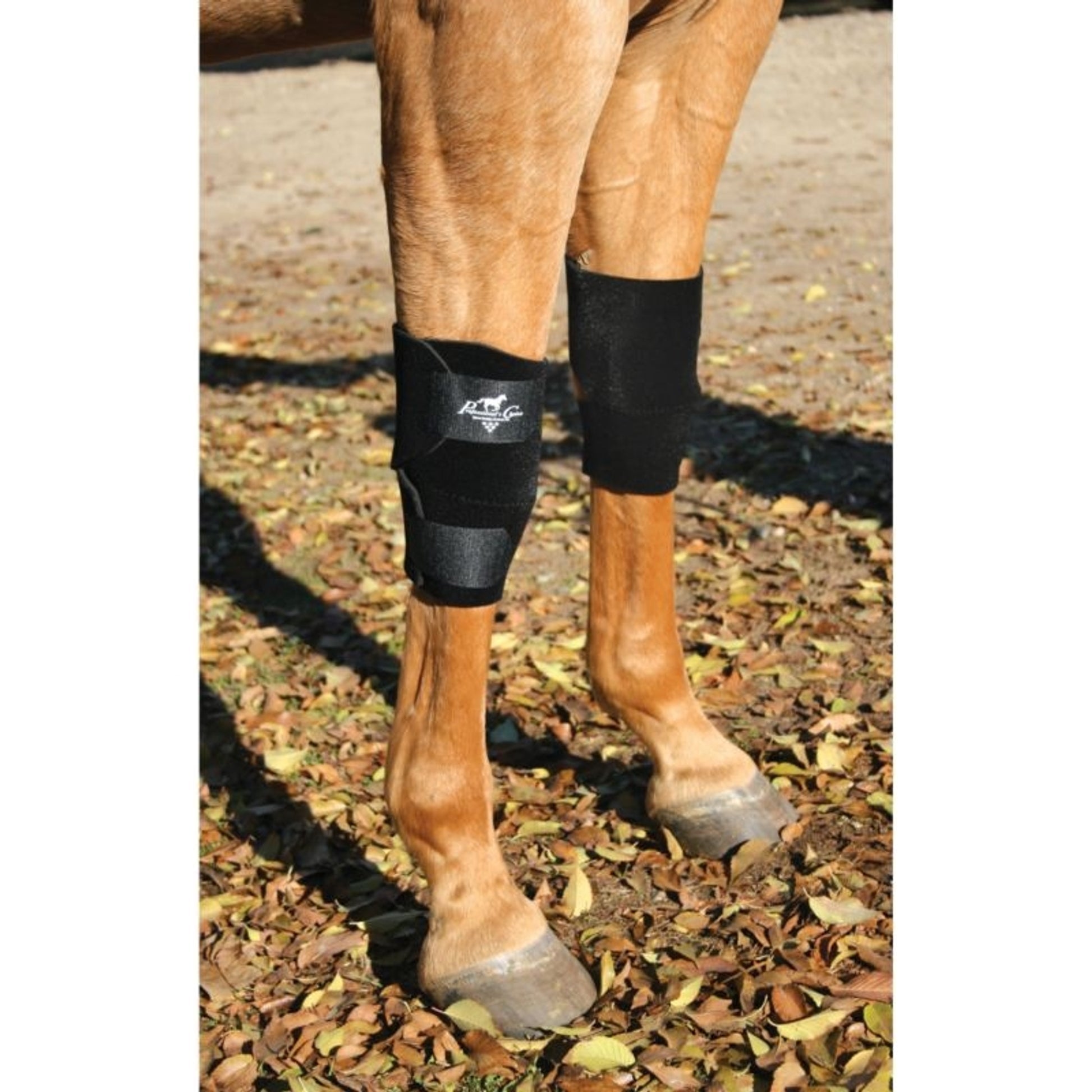 Professionals Choice knee boots pair