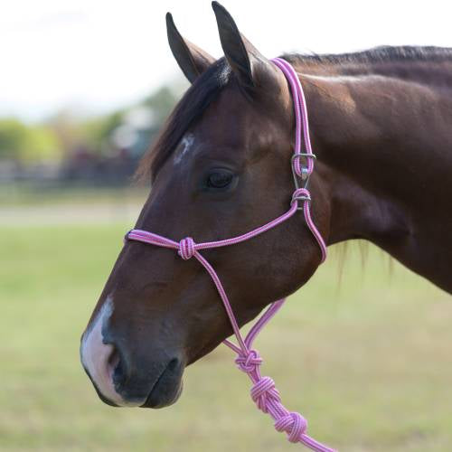 Easy on halter by Professionals Choice