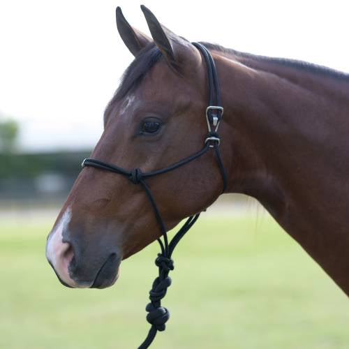Easy on halter by Professionals Choice