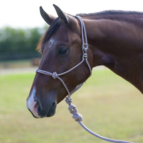 Easy on halter by Professionals Choice