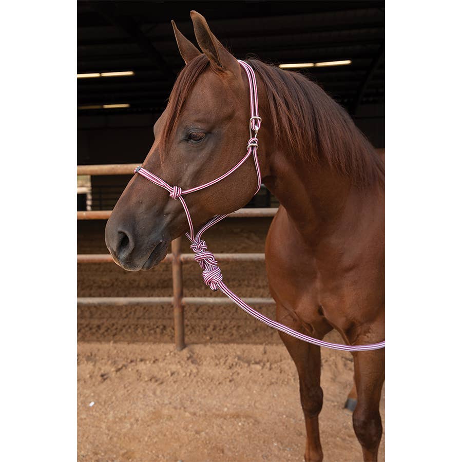 Easy on halter by Professionals Choice