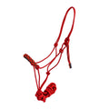 Braided nose cowboy knot halter with lead rope