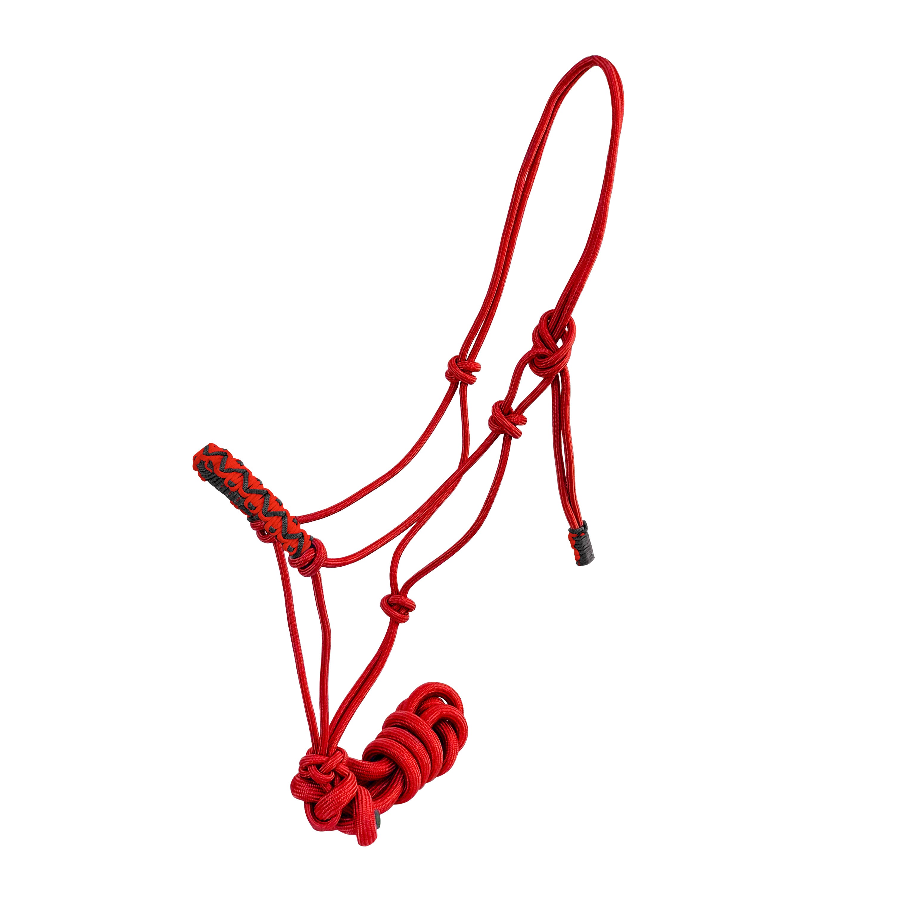 Braided nose cowboy knot halter with lead rope