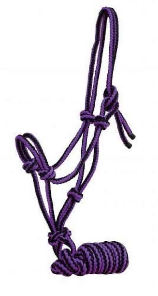 Small horse/ pony halter with lead
