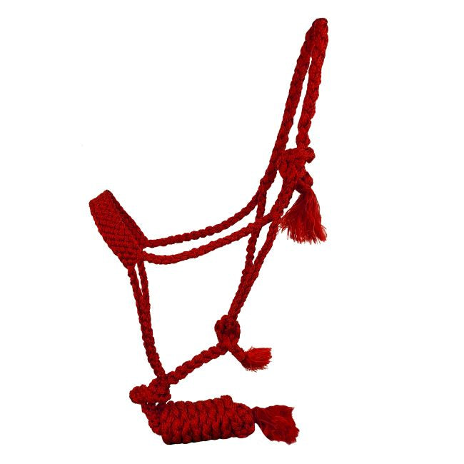 Mule tape halter with lead rope