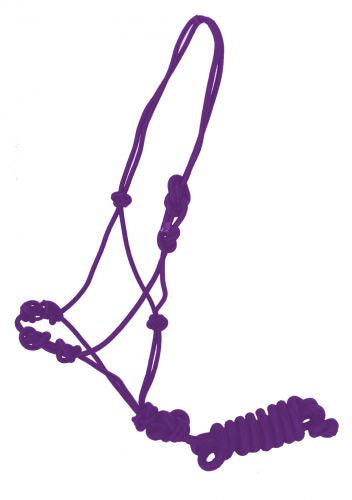 Training cowboy knot halter with four knot pressure points with removeable lead